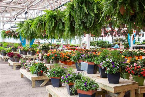 b&m garden center|b'b'b'b'b'b'b'b'b'b'b'b'b'b'b'b'b'b'b.